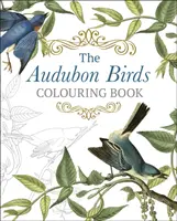 Vtáky Audubon Omaľovánky - Audubon Birds Colouring Book