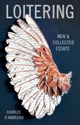 Poflakovanie sa: Nové a zozbierané eseje - Loitering: New and Collected Essays