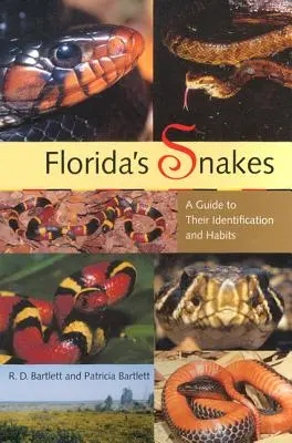 Floridské hady: Sprievodca ich identifikáciou a zvyklosťami - Florida's Snakes: A Guide to Their Identification and Habits