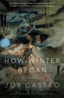 Ako sa začala zima: Príbehy - How Winter Began: Stories