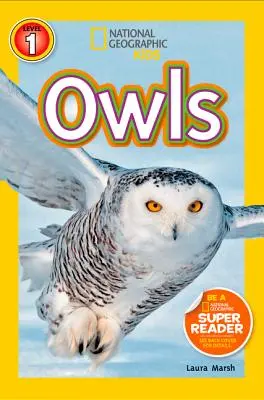 Sovy - Owls