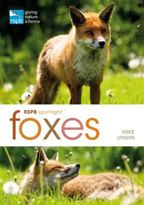 Rspb Spotlight: Líšky - Rspb Spotlight: Foxes