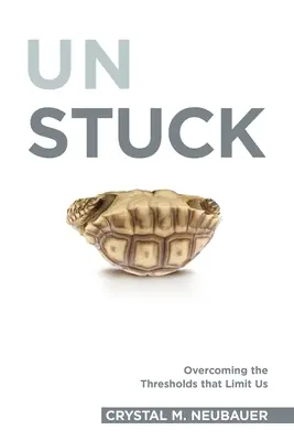 Unstuck: Prekonávanie prahov, ktoré nás obmedzujú - Unstuck: Overcoming the Thresholds that Limit Us