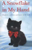 Snehová vločka v mojej ruke - Snowflake In My Hand