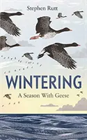 Zimovanie: Sezóna s husami - Wintering: A Season with Geese