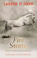 Kôň za jeden dolár: Ohnivá búrka - kniha 3 - One Dollar Horse: Fire Storm - Book 3