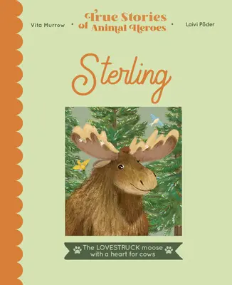 Sterling: Zamilovaný los so srdcom pre kravy - Sterling: The Lovestruck Moose with a Heart for Cows