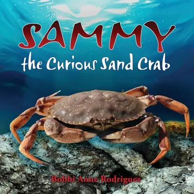 Zvedavý krab Sammy - Sammy the Curious Sand Crab