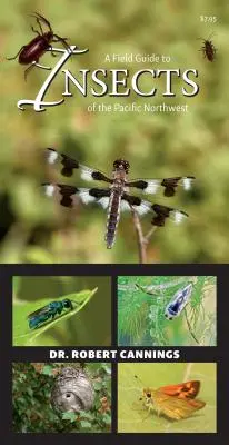Terénny sprievodca hmyzom pacifického severozápadu - A Field Guide to Insects of the Pacific Northwest