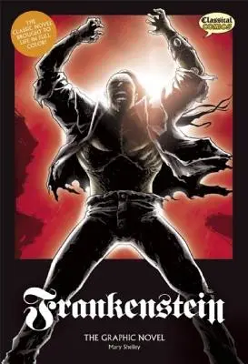 Grafický román Frankenstein: Pôvodný text - Frankenstein the Graphic Novel: Original Text