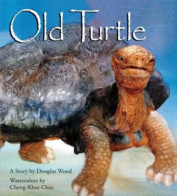 Stará korytnačka - Old Turtle