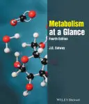Metabolizmus v skratke - Metabolism at a Glance
