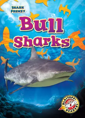 Býčie žraloky - Bull Sharks