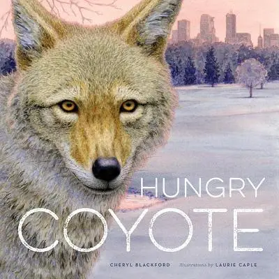 Hladný kojot - Hungry Coyote