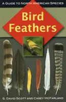 Vtáčie perie: Sprievodca severoamerickými druhmi - Bird Feathers: A Guide to North American Species