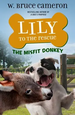 Lily na záchranu: O nevydarenom oslíkovi - Lily to the Rescue: The Misfit Donkey