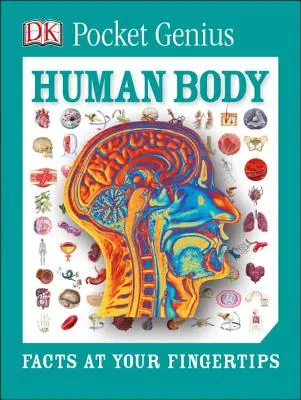 Vreckový génius: Ľudské telo: Hmotné telo: Fakty na dosah ruky - Pocket Genius: Human Body: Facts at Your Fingertips