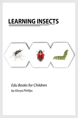 Učiaci sa hmyz: Montessori skutočný hmyz kniha pre bábätká a batoľatá, kúsky inteligencie pre bábätko a batoľa, detská kniha, učenie - Learning Insects: Montessori real insects book for babies and toddlers, bits of intelligence for baby and toddler, children's book, lear