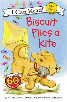 Piškót púšťa draka - Biscuit Flies a Kite