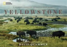 Yellowstone: Cesta divokým srdcom Ameriky - Yellowstone: A Journey Through America's Wild Heart