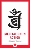 Meditácia v praxi - Meditation in Action