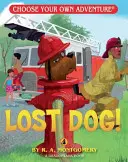 Stratený pes! - Lost Dog!