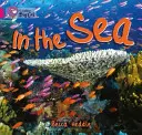 V mori - In the Sea