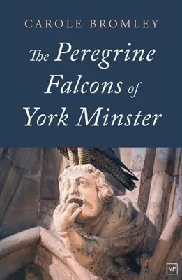Sokoli sťahovaví z York Minster - Peregrine Falcons of York Minster