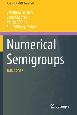 Numerické pologrupy: Imns 2018 - Numerical Semigroups: Imns 2018