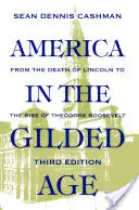 Amerika v zlatom veku: tretie vydanie - America in the Gilded Age: Third Edition