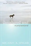 Odviazaná duša: Cesta za hranice seba samého - The Untethered Soul: The Journey Beyond Yourself