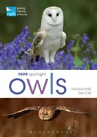 Rspb Spotlight Sovy - Rspb Spotlight Owls