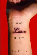 Prečo láska bolí: Sociologické vysvetlenie - Why Love Hurts: A Sociological Explanation