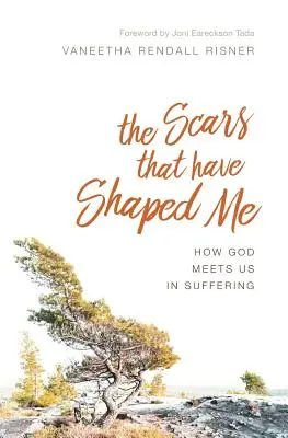 Jazvy, ktoré ma formovali: Ako nás Boh stretáva v utrpení - The Scars That Have Shaped Me: How God Meets Us in Suffering