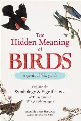 Skrytý význam vtákov - duchovný sprievodca: Preskúmajte symboliku a význam týchto okrídlených poslov - The Hidden Meaning of Birds--A Spiritual Field Guide: Explore the Symbology and Significance of These Divine Winged Messengers