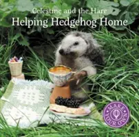 Pomoc ježkovi domov - Helping Hedgehog Home