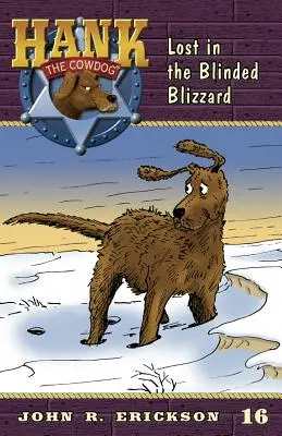 Stratený v slepej snehovej búrke - Lost in the Blinded Blizzard