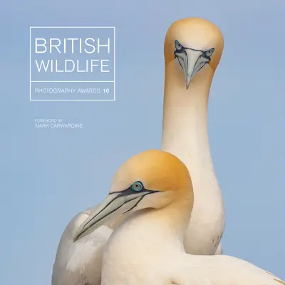 Britské ceny za fotografiu divokej prírody 10 - British Wildlife Photography Awards 10