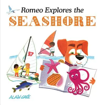 Romeo skúma morské pobrežie - Romeo Explores the Seashore