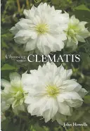 Výber vášho plamienku - Choosing Your Clematis