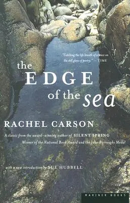 Okraj mora - The Edge of the Sea