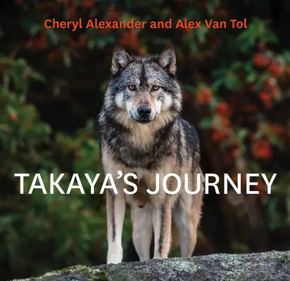 Taká je cesta - Takaya's Journey