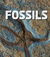 Skameneliny - Fossils