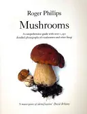 Huby - Mushrooms