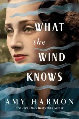 Čo vie vietor - What the Wind Knows