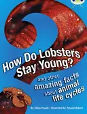Klub chrobákov Samostatná Non Fiction 3. ročník Hnedá A Ako zostávajú homáre mladé? - Bug Club Independent Non Fiction Year 3 Brown A How Do Lobsters Stay Young?