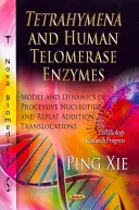 Tetrahymena a ľudské enzýmy telomerázy - model a dynamika procesných translokácií nukleotidov a opakovaných adícií - Tetrahymena & Human Telomerase Enzymes - Model & Dynamics of Processive Nucleotide & Repeat Addition Translocations