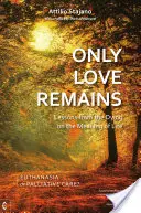 Zostáva len láska: Lekcie od umierajúcich o zmysle života: Eutanázia alebo paliatívna starostlivosť? - Only Love Remains: Lessons from the Dying on the Meaning of Life: Euthanasia or Palliative Care?