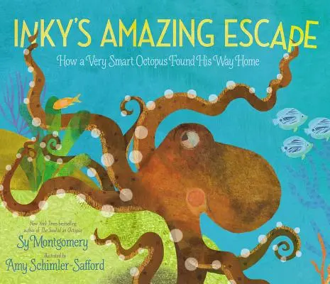 Inkyho úžasný útek: Ako veľmi inteligentná chobotnica našla cestu domov - Inky's Amazing Escape: How a Very Smart Octopus Found His Way Home
