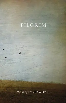 Pútnik (revidované vydanie) - Pilgrim (Revised) (Revised)
